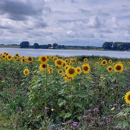 Landkate Im Dorfkern *